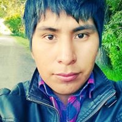 Lucho Carlos Choque’s avatar