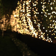 stellavenue