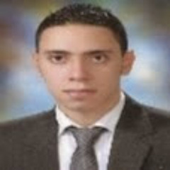 mohamed sayed amin