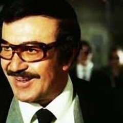 Wael Kamal