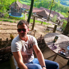 Slobo Bogicevic