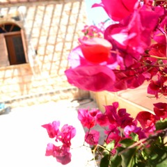 Sara_Alawieh