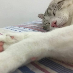 MeooW