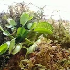 Ruben “kase” rodriguez