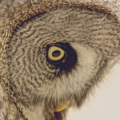 jonathan rios gonzalez