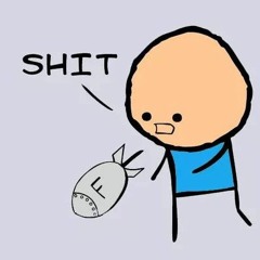 Mohammad El Sehrawey