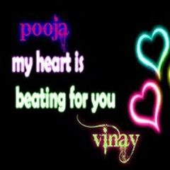 Vinod Vinay