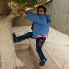 Shenouda Karas