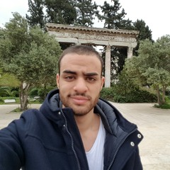 imad.eddine.daaboul
