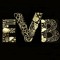 EvB