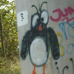 Maggo