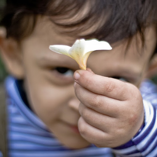 Euphoric Sufis- Yaadan Teriyan- Sonu Kakkar