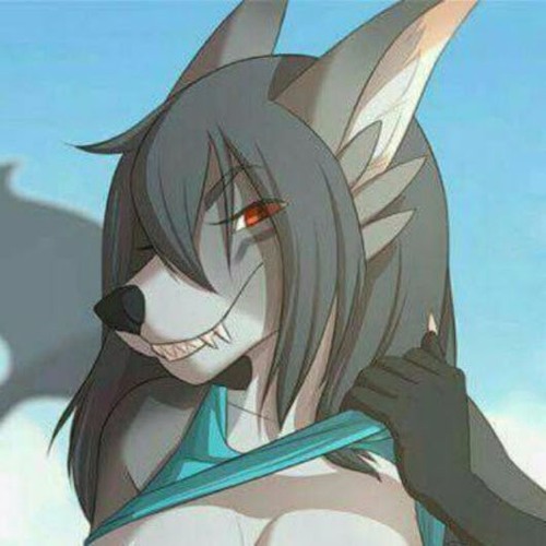 Star the party wolf’s avatar