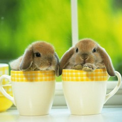 cutebunnny9906