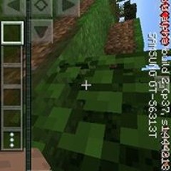 Luigi Eduardo Freire