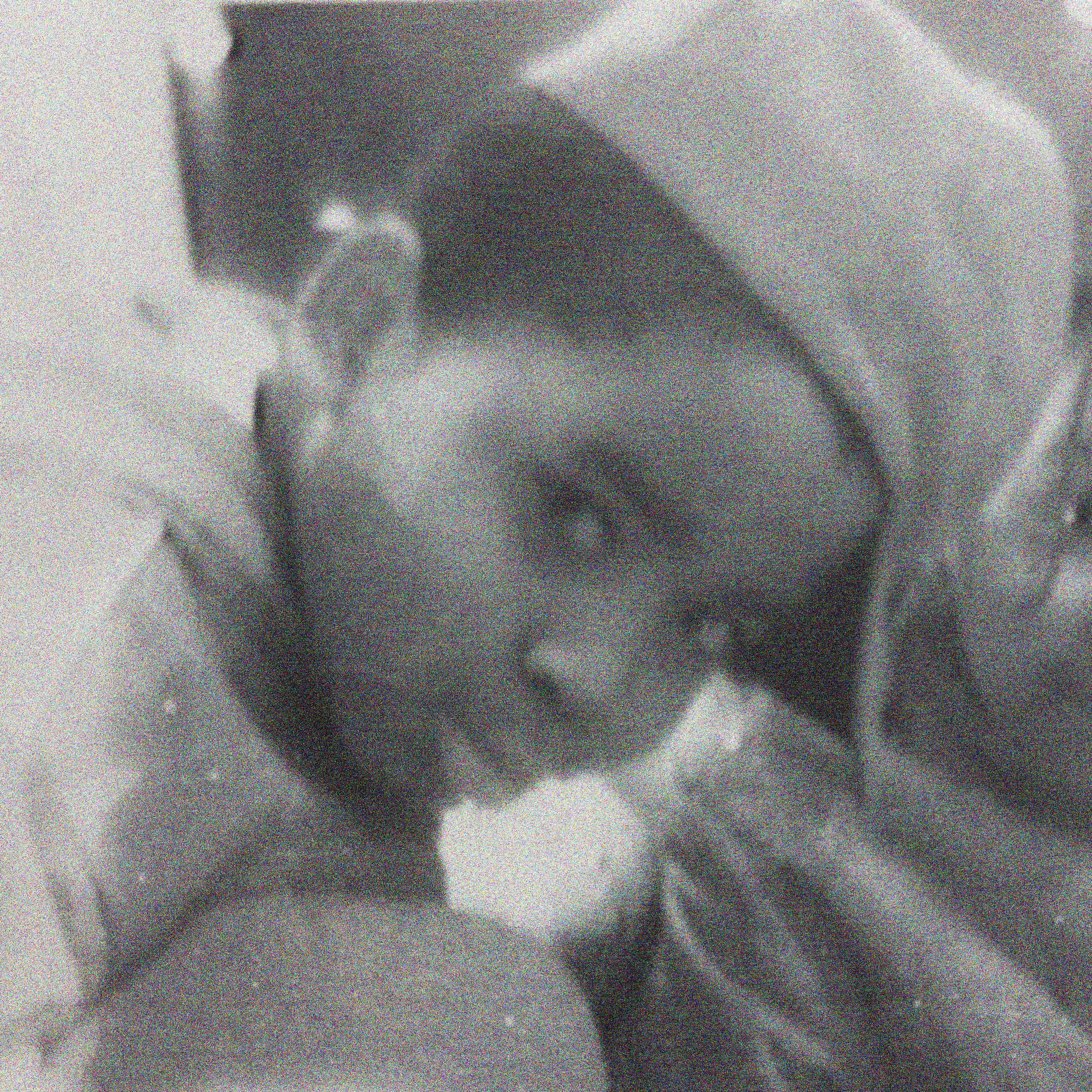 ｑｕｅｓｔｎｏｎｅ cover art