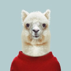 Alpaca