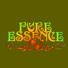 The Pure Essence Band