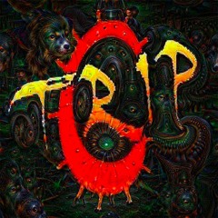 Trip C