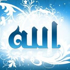 احمد صلاح طعيمه