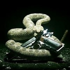 امير السويس