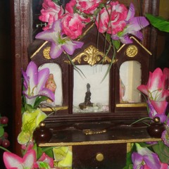 Fundación Sol de Lara