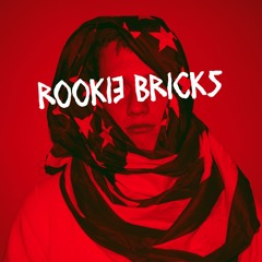Rookie Bricks