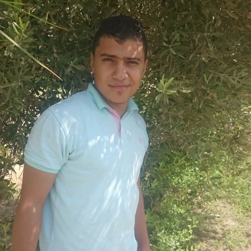 Mahmoud Hamada’s avatar