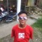 Grex