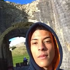 Gregory Santos