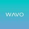 WAVO Votes