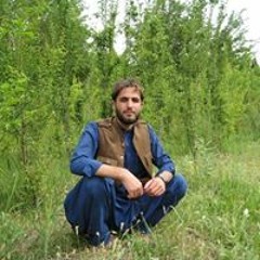 Morchul Morchul Afghan