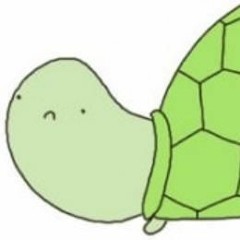 turtlebyte