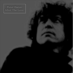 Peter Haren