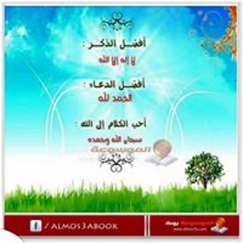Tamer Elsayed’s avatar