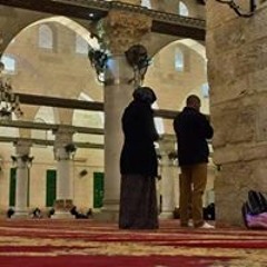 اسيا العموري