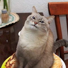 omlette au fromage
