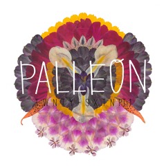 Palleon