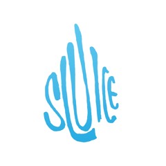 Sluice