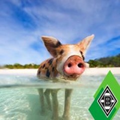 ÜberTreiBär