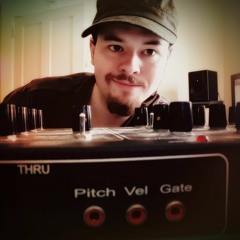 Reedswitch
