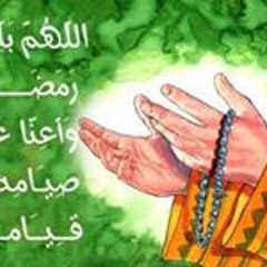 Nadykoo Shreifkoo
