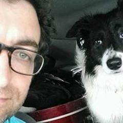 Ultan Collie