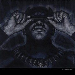 BrownBrotherFly aka B.Fly