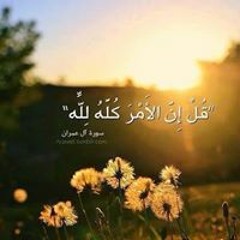 ph fayhaa