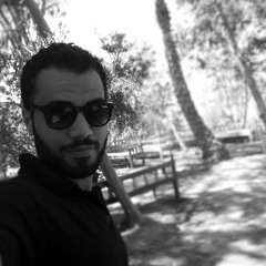 Hassan Abdellhakim