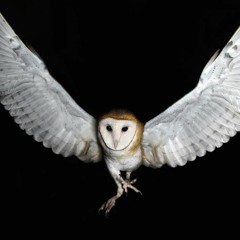 If i ain't got you. bibadel feat mimi M