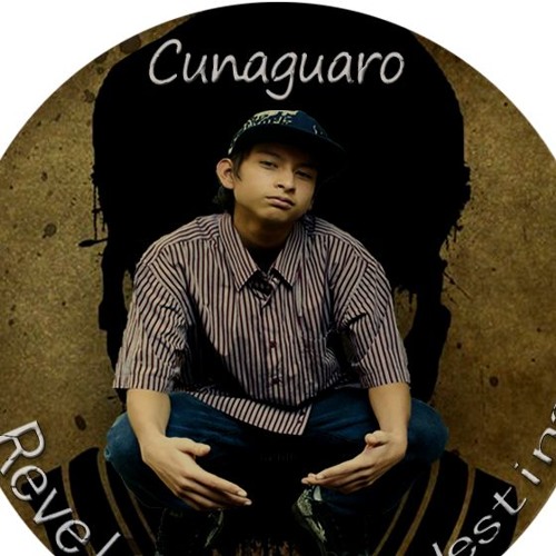CunaGuaro Temas Sueltos’s avatar