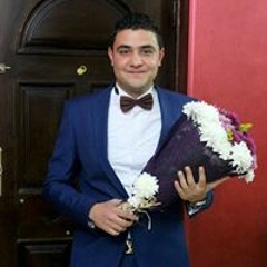 Amr Hussein الفنان