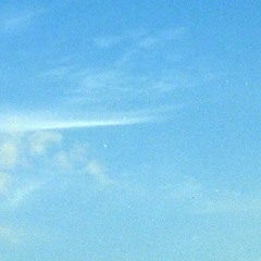 Midnight Border Patrol